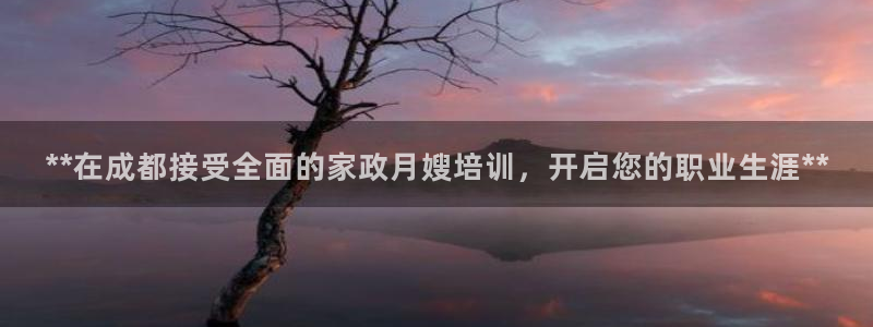 杏悦平台官网注册