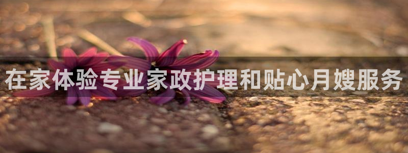 杏悦平台代理注册流程