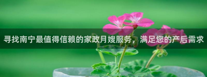 杏悦平台代理怎么做