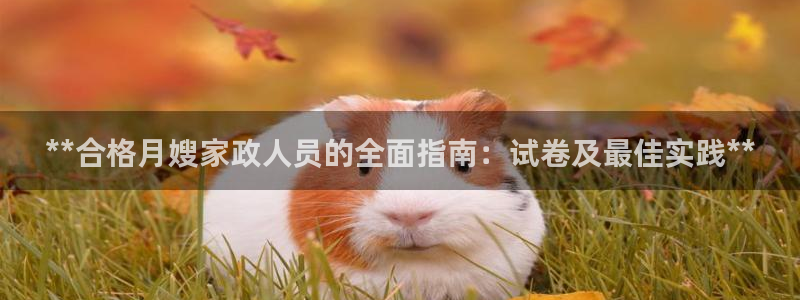 杏悦娱乐是什么