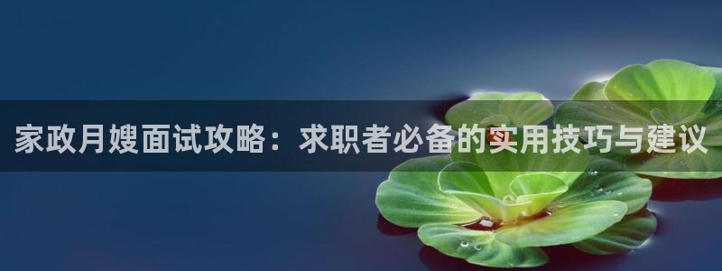 杏悦平台代理怎么赚钱