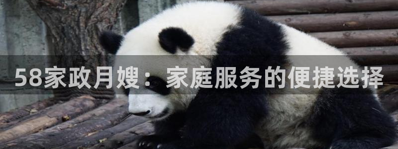 杏悦官网注册信息在哪里