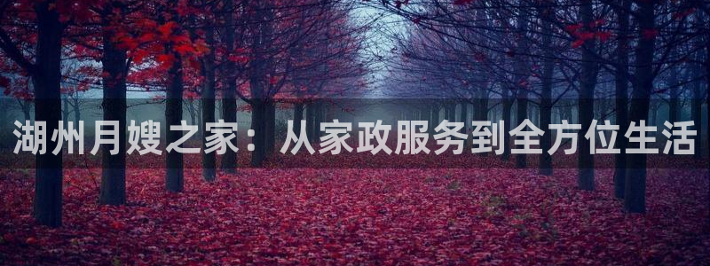 杏悦平台登录网址是多少