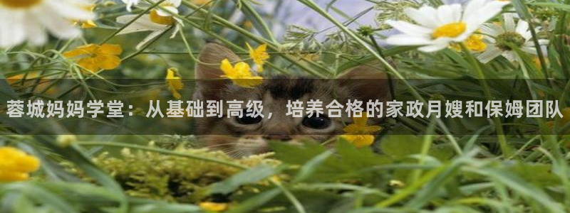 杏悦官网注册信息查询