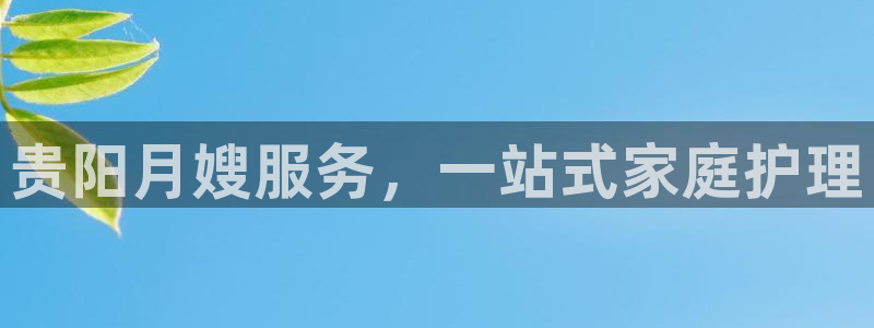 杏悦平台代理怎么赚钱的