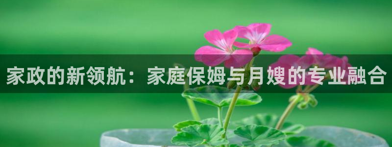 杏悦娱乐注册平台怎么样