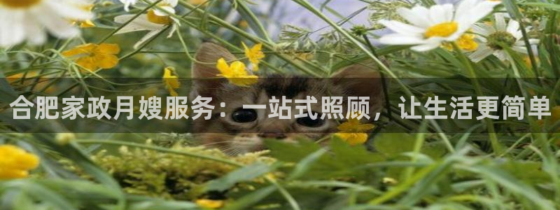 杏悦平台代理注册多少钱