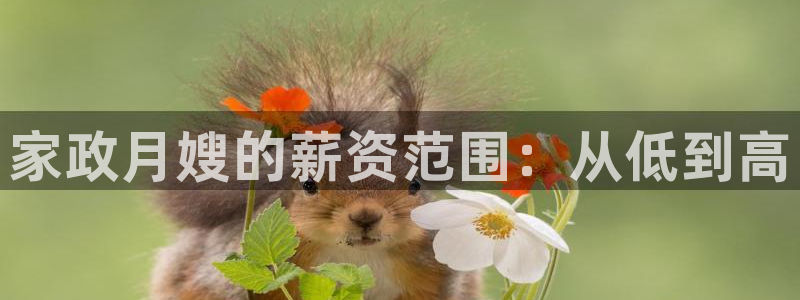 杏悦官网注册信息