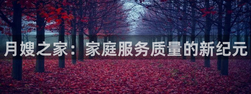 杏悦官网登录入口网址