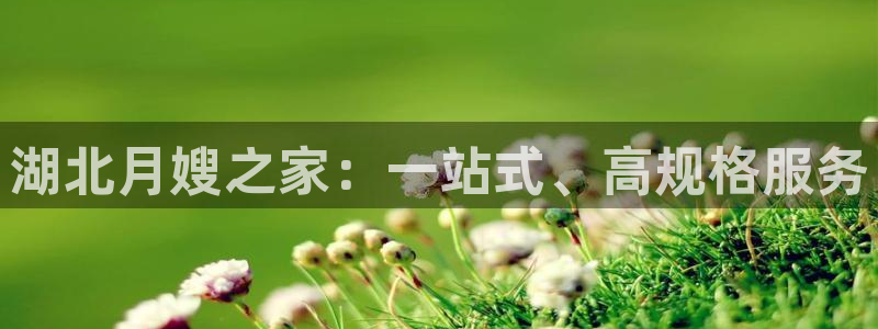 杏悦平台开户地址在哪里