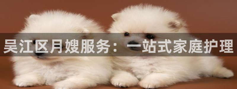 杏悦平台登录地址是什么