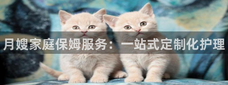 杏悦官网注册信息在哪里