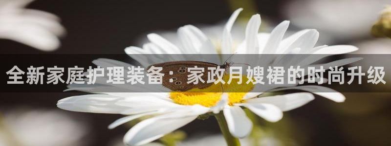 杏悦登录网址是什么