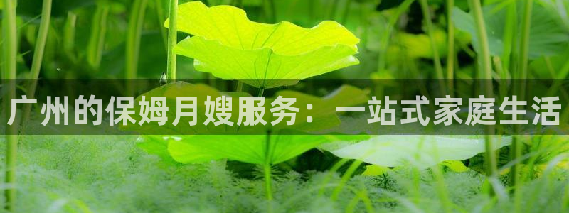 杏悦平台公司介绍