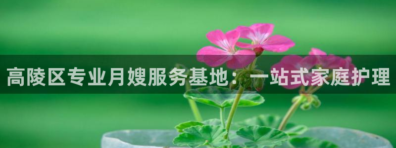 杏悦平台注册地址在哪里