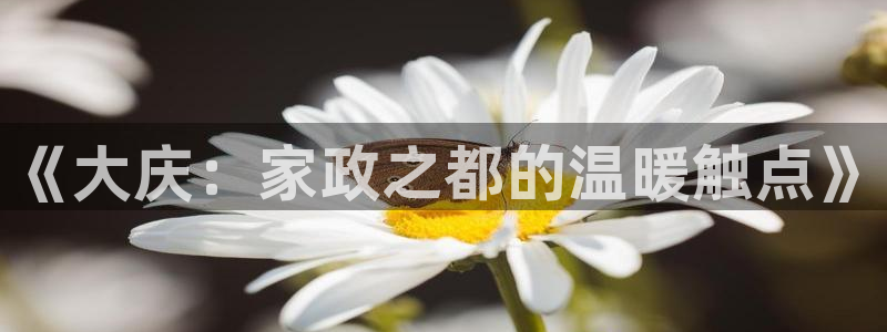 杏悦招商地址