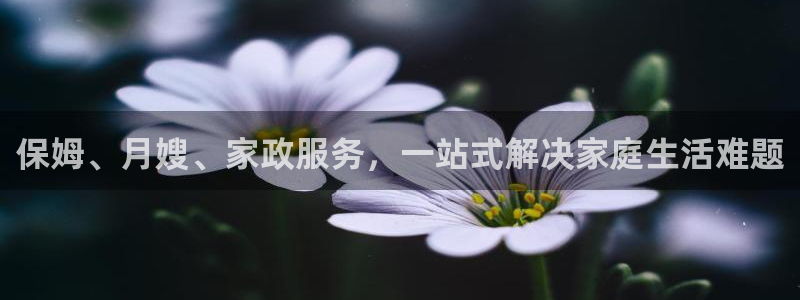 杏悦平台官网注册