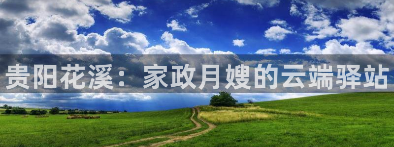 杏悦平台代理注册流程