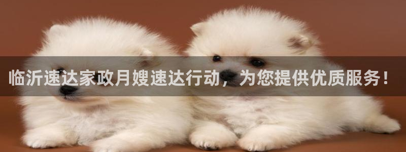 杏悦平台登录入口官网