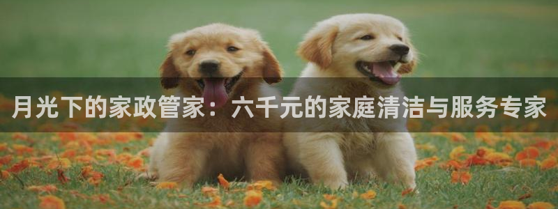 杏悦平台代理怎么做赚钱