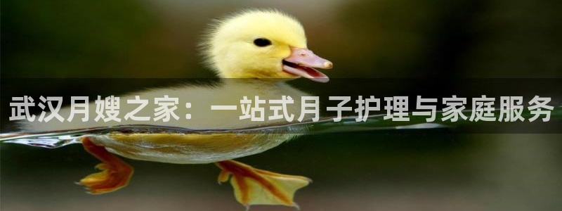 杏悦官网注册信息是什么