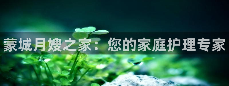 杏悦平台代理注册要钱吗