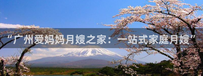 杏悦平台注册流程