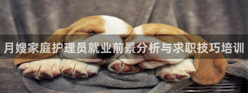 杏悦娱乐怎么玩