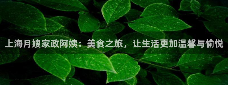 杏悦官方平台官网入口