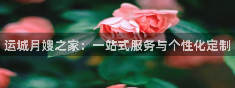 杏悦平台代理多少钱