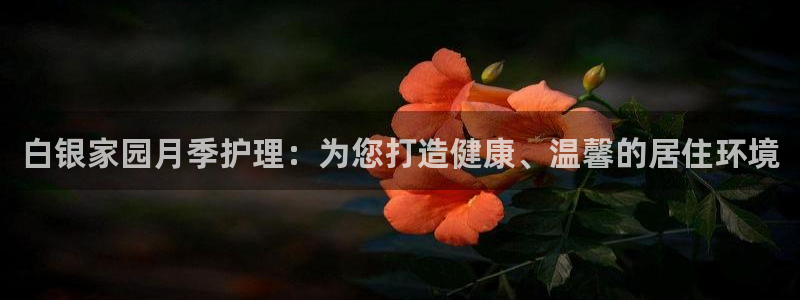 杏悦平台可靠吗可信吗安全吗