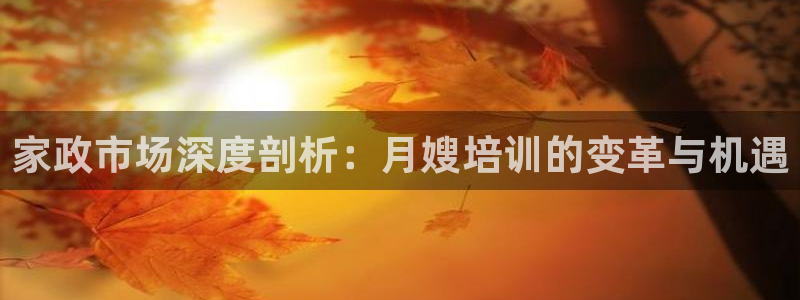 杏悦平台登录网址查询